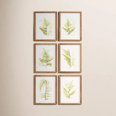 Eifa 'Fern Study' - 6 Piece Picture Frame Graphic Art Print Set on Paper | Wayfair North America