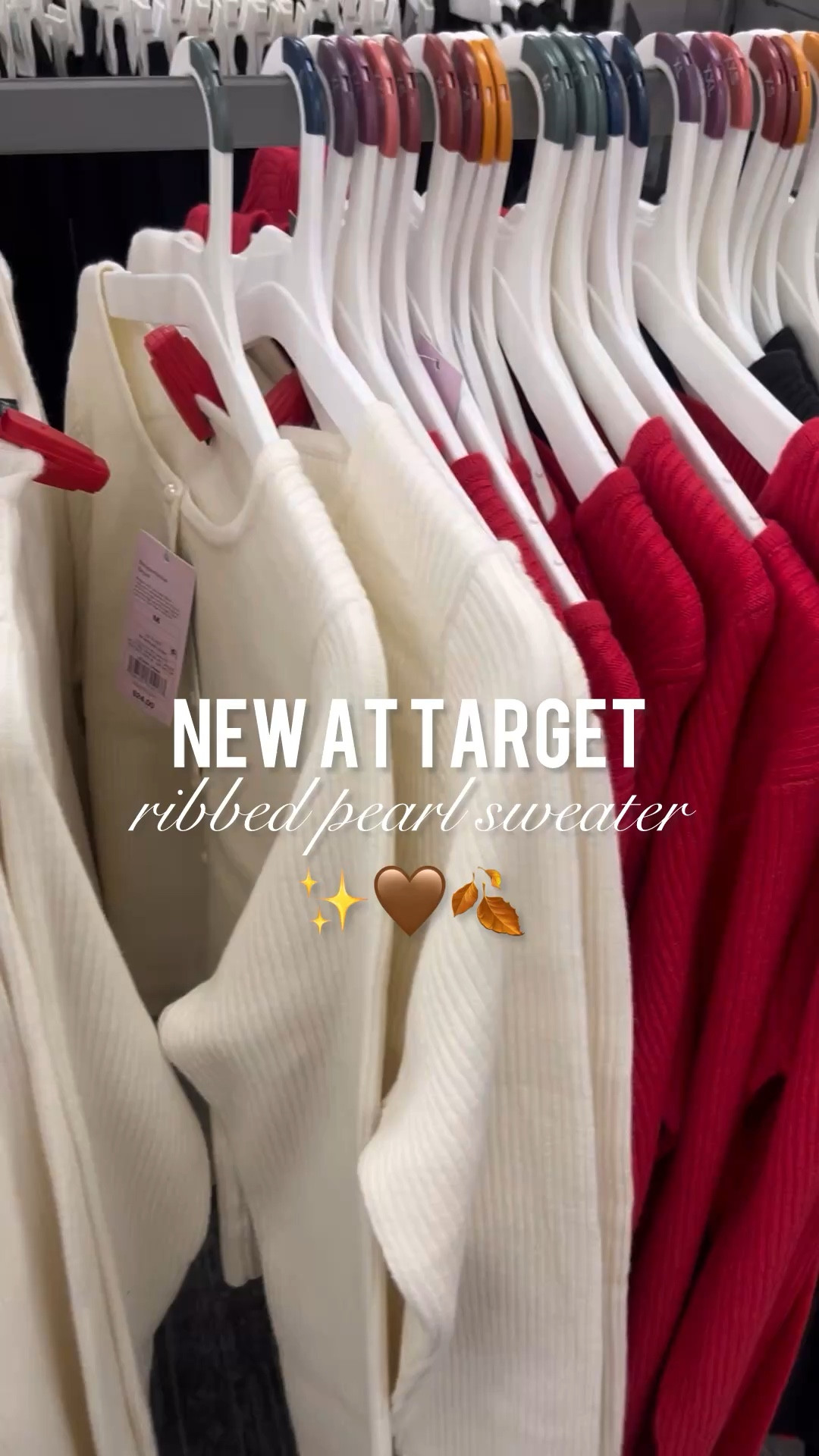 Ribbed pearl sweater 

New at Target  fall outfit  fashion trends  outerwear  holiday outfit 

#LTKStyleTip #LTKHoliday #LTKVideo