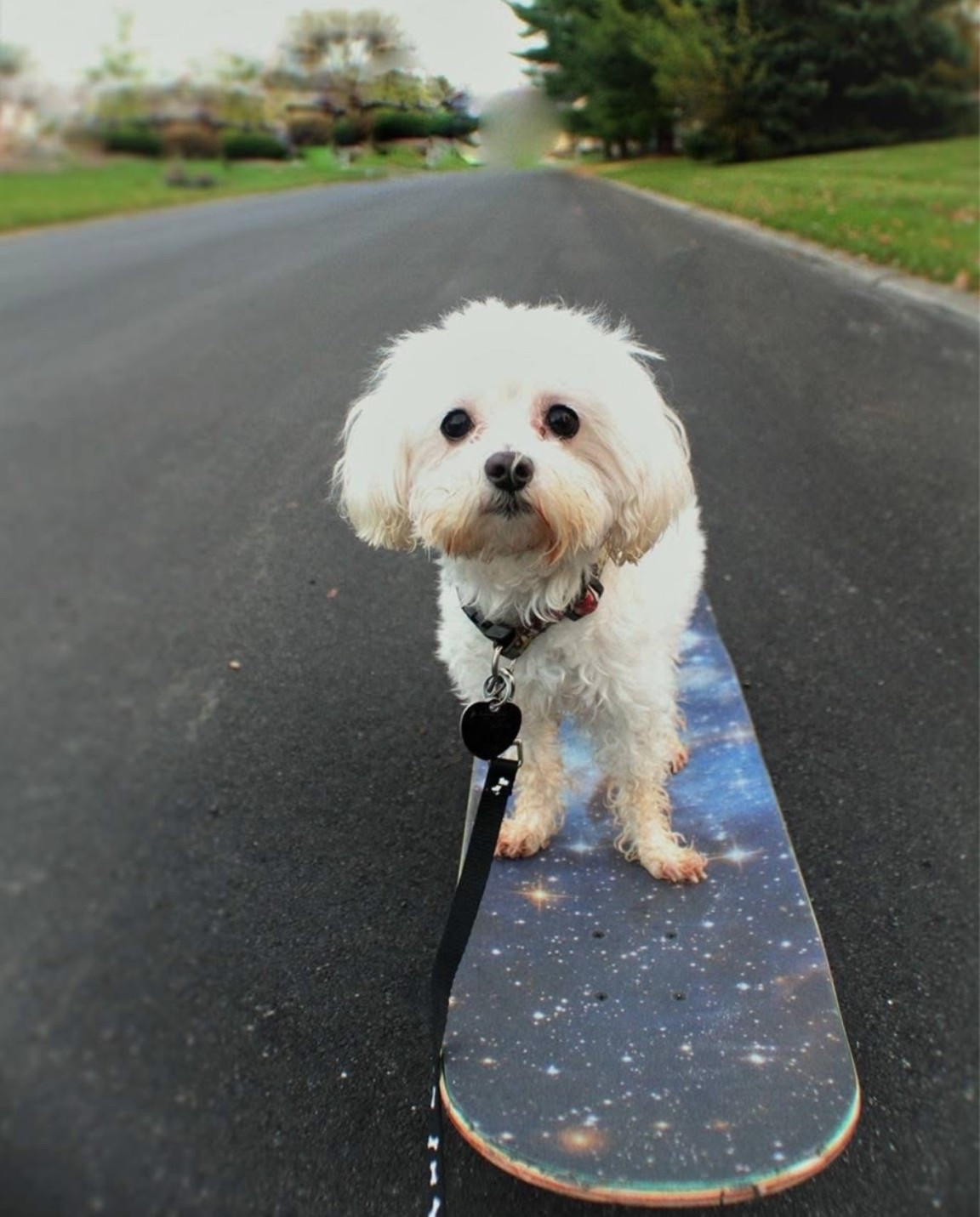 Outdoor fun and some of her favorite things 🐶

#LTKselfcare #LTKdayinmylife #LTKSaleAlert
