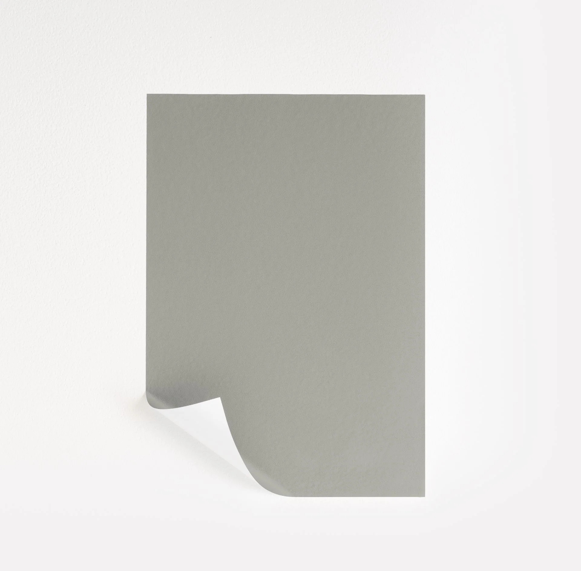 Lamp Room Gray  Paint Sample | Samplize