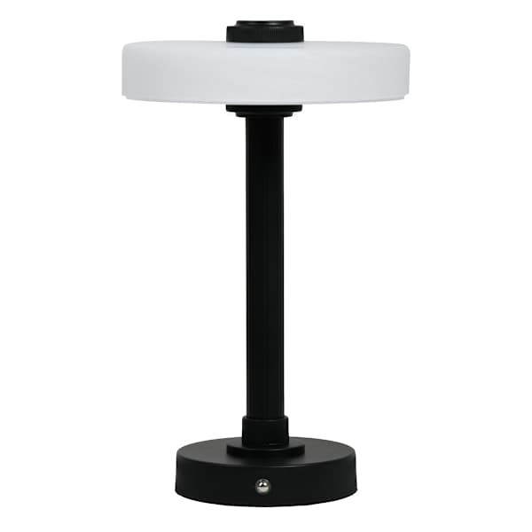 Black Metal Portable Rechargeable Lamp with Glass Shade, 12" | At Home