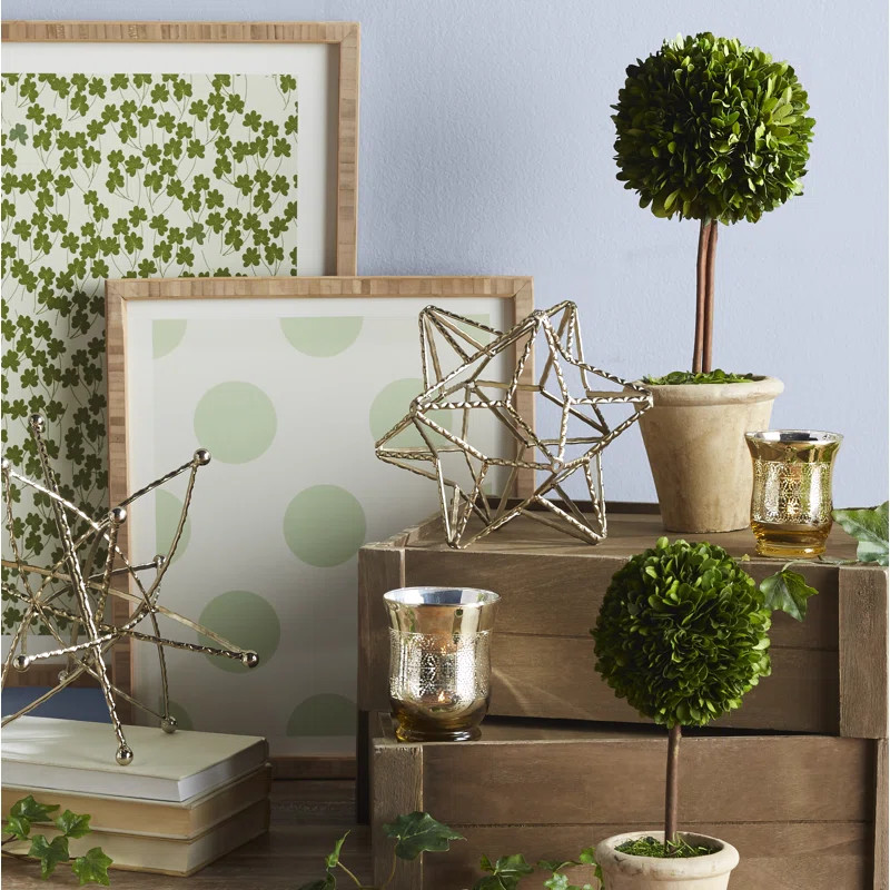 Single Boxwood Topiary in Pot | Wayfair North America