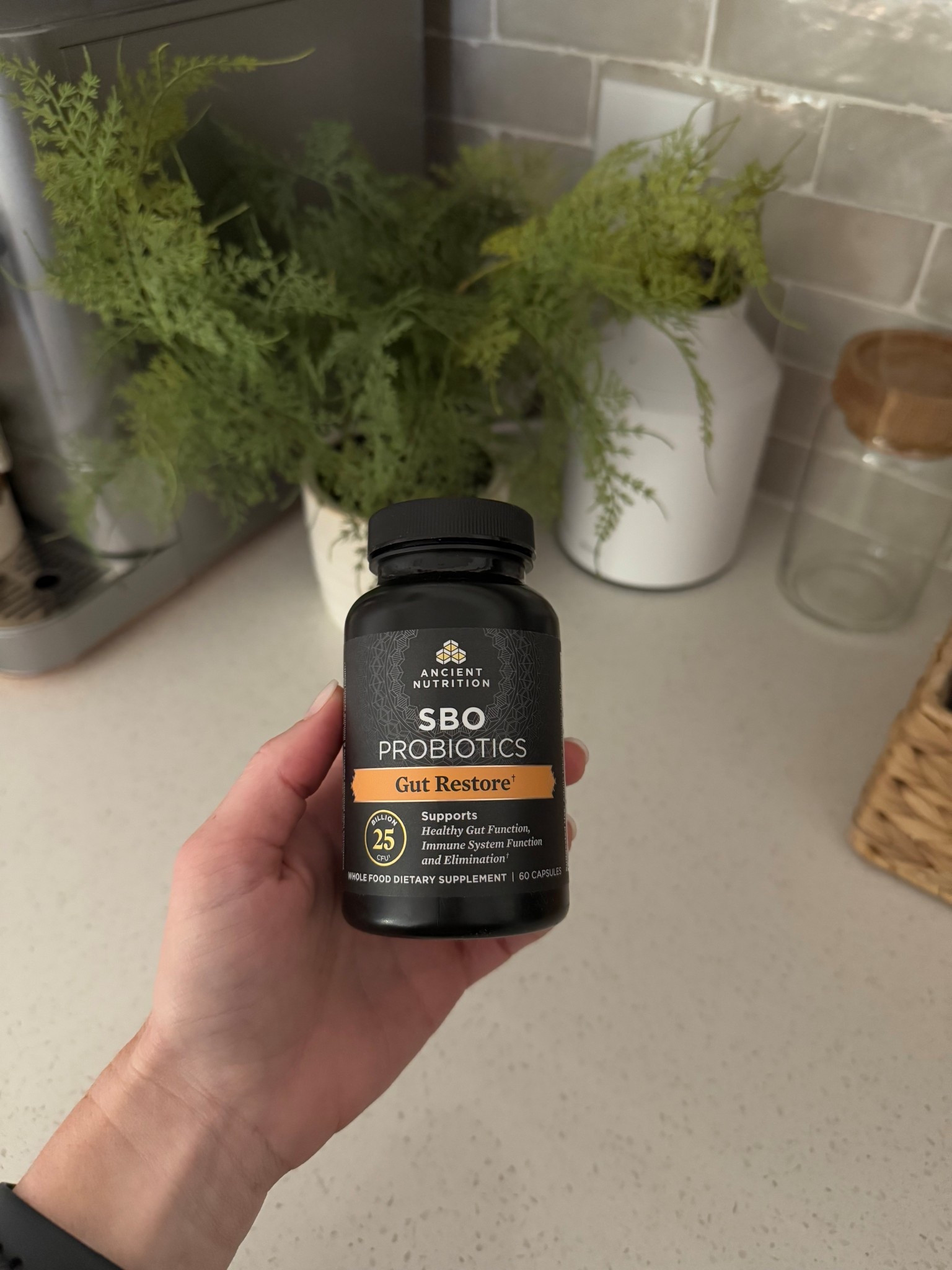 SBO probiotics for gut health and immunity 

#LTKselfcare #LTKActive