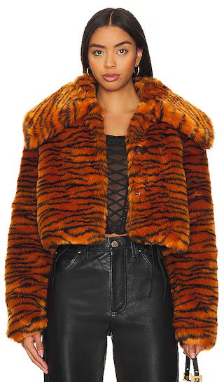 Faux Fur Coat in Tiger | Revolve Clothing (Global)