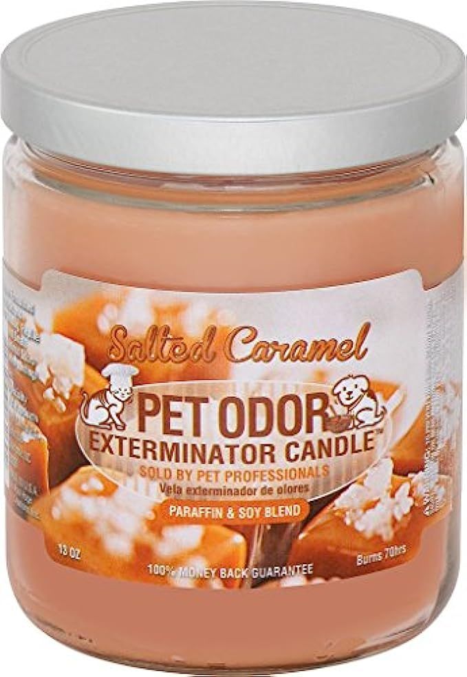 Specialty Pet Products Pet Odor Exterminator Candle, Salted Caramel,13 oz | Amazon (US)