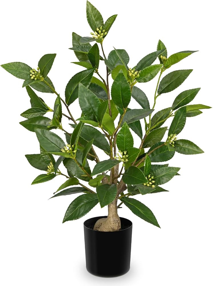 Briful Fake Plants Tall 18.8'' Artificial Plants Indoor Decor, Faux Bay Laurel Plant with Flowers... | Amazon (US)