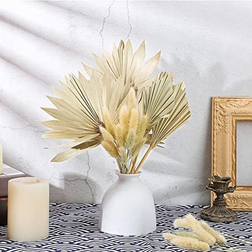56 Pieces Dried Palm Leaves and Bunny Tail Grass Set Include 6 Pieces Small Natural Dried Palm Fa... | Amazon (US)