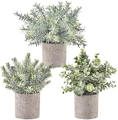 Hamore Artificial Eucalyptus Plants Green Rosemary Plants Mini Potted Artificial Potted Plants an... | Amazon (US)