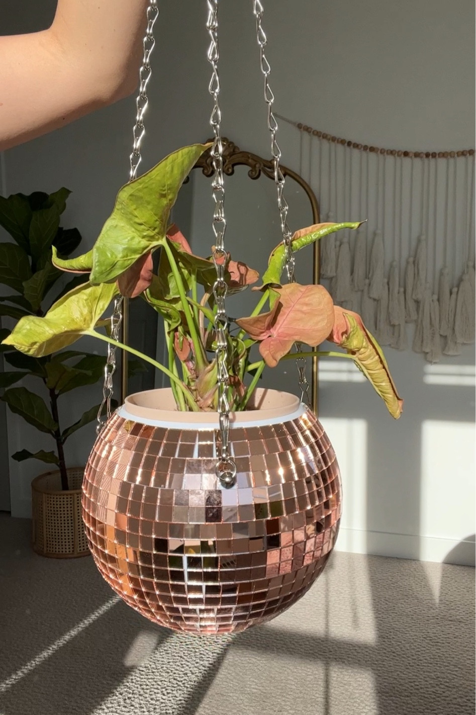 Disco 🪩 planter 

#LTKGiftGuide #LTKhome #LTKunder50