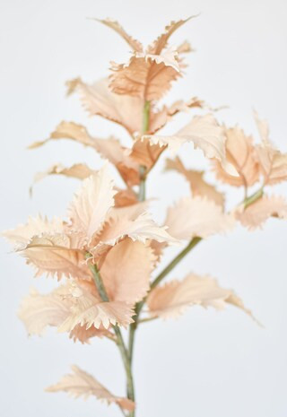 31" Faux Dusty Peach Coleus Stem | Michaels | Michaels Stores