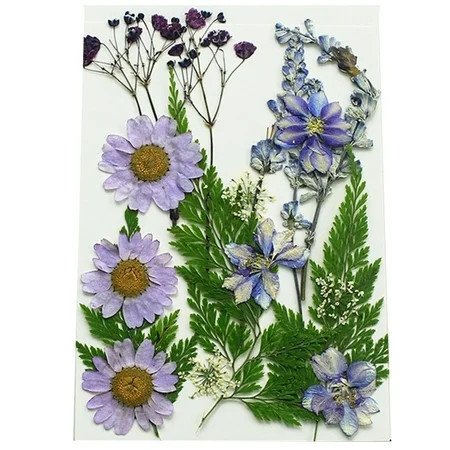 Dried Flowers For Resin Nail Art Real Pressed Flowers For Face Glitter Nail Art DIY Crafting Flakes  | Walmart (US)