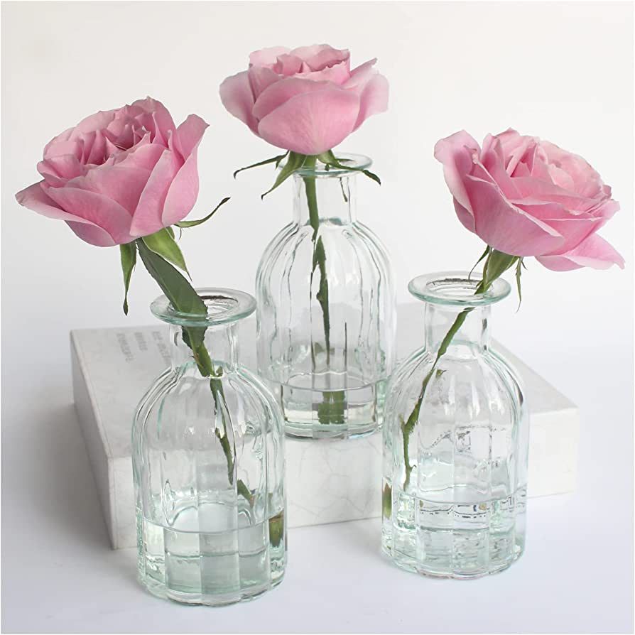 HANIHUA 3 Sets Clear Glass Vase for Flowers Small Bud Vase for Decor, Bud Vases in Bulk for Cente... | Amazon (US)