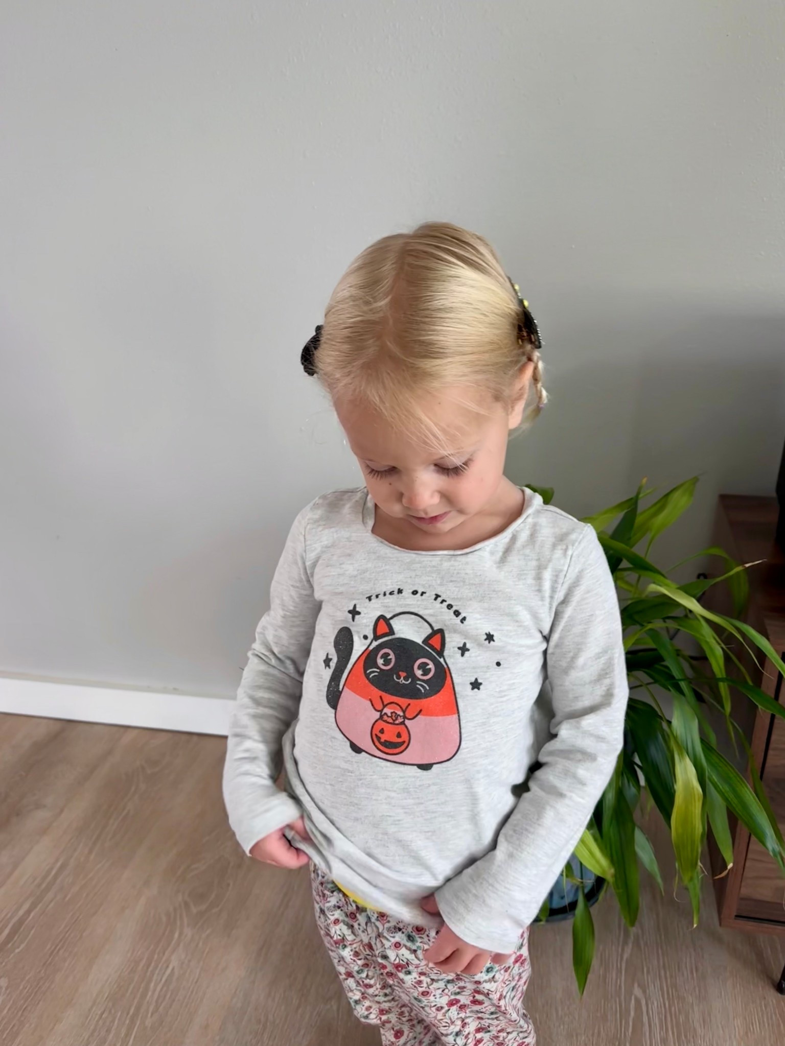 Ready for trick-or-treating in the Toddler Girl Halloween Cat Long-Sleeve Graphic Tee – Grey! Perfect for toddler Halloween outfits, cozy fall style, and spooky season fun 🎃👻 #LTKKids #LTKBaby #HalloweenCostumes #ToddlerHalloween #CuteKidsClothes #SpookySeason #FallFavorites #HalloweenOutfitIdeas #LTKSeasonal #ToddlerStyle

#LTKKids #LTKSeasonal #LTKFindsUnder50