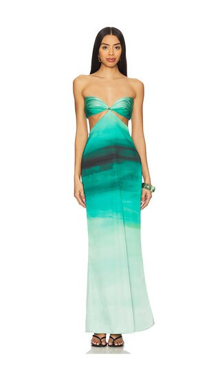 Baobab Riri Dress in Green. - size XL | Revolve Clothing (Global)