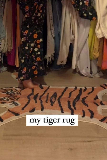 the closet rug 🐅 