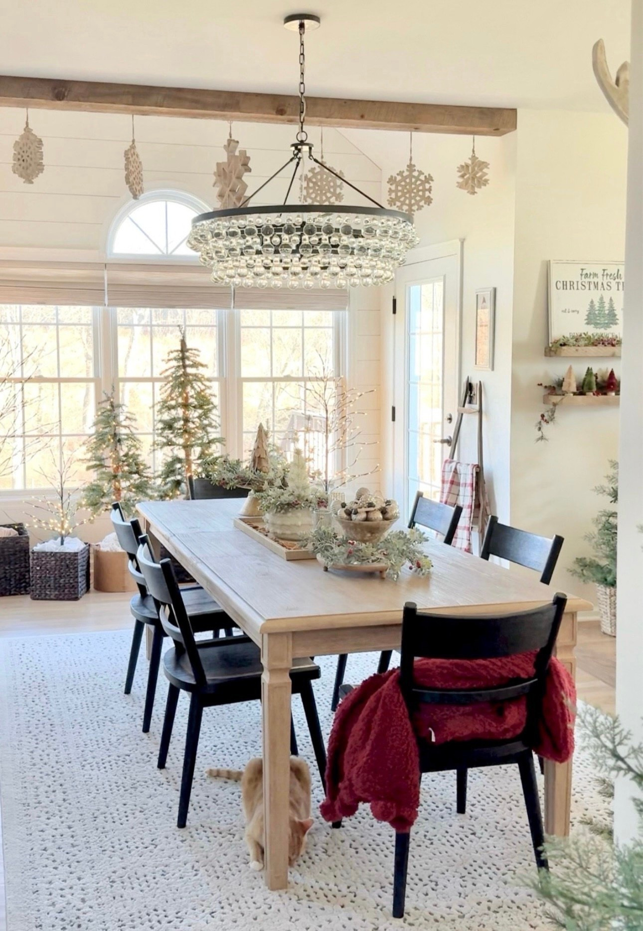 Some of my best sellers: Solid wood dining table, solid wood black dining chairs, pretty throw blanket, set-of-3 twig prelit trees on sale now for under $85 for all 3; tall cedar trees, tabletop trees, my exact chandy and a similar less expensive one, similar hanging snowflakes good for all winter and more!

#LTKFindsUnder50 #LTKHome