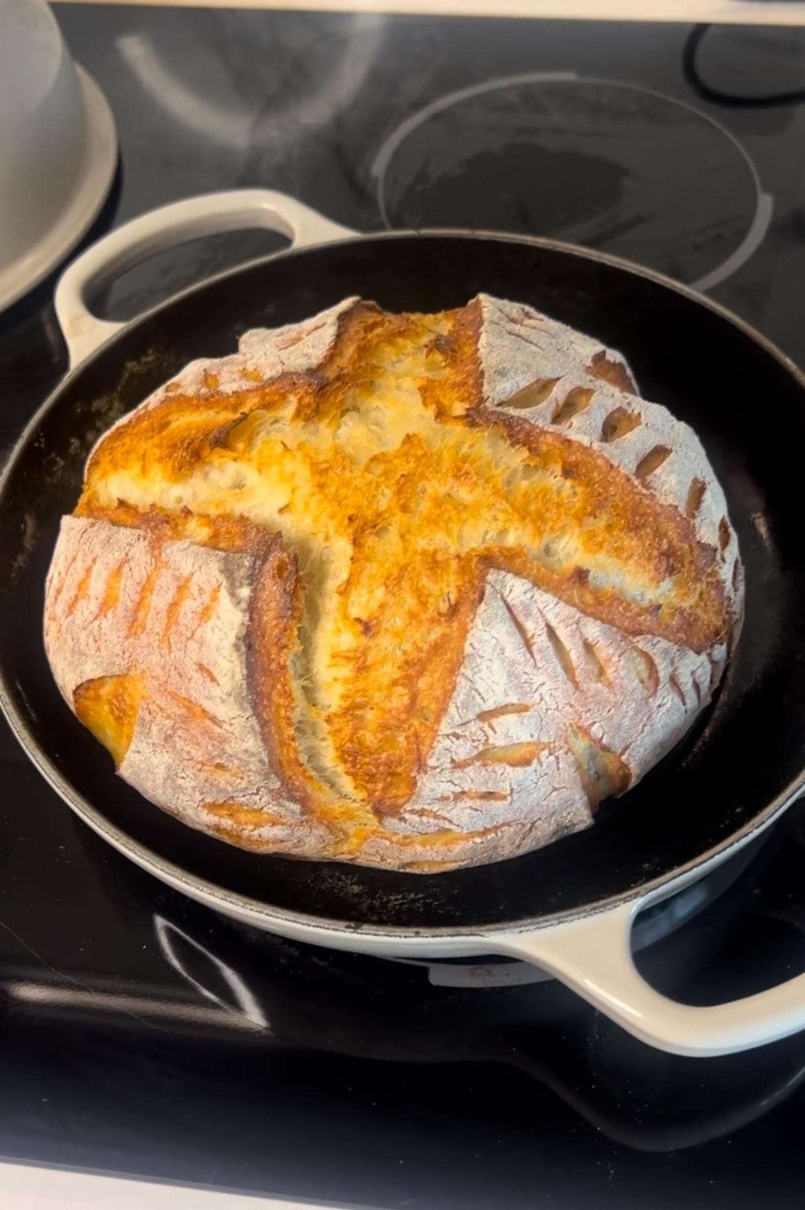 The Le Crueset Bread Oven was my best purchase yet. Nothing compares to homemade sourdough 🤩

#sourdough #lecreuset #bread

#LTKHome