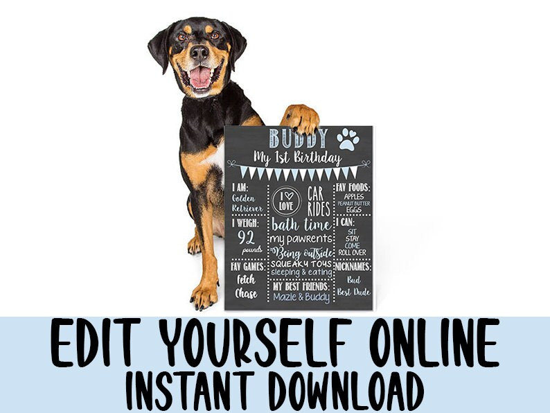 Dog Birthday Chalkboard|Dog Birthday Sign|Dog Birthday Decorations|Dog Bday Chalkboard|Dog Sign|P... | Etsy (US)