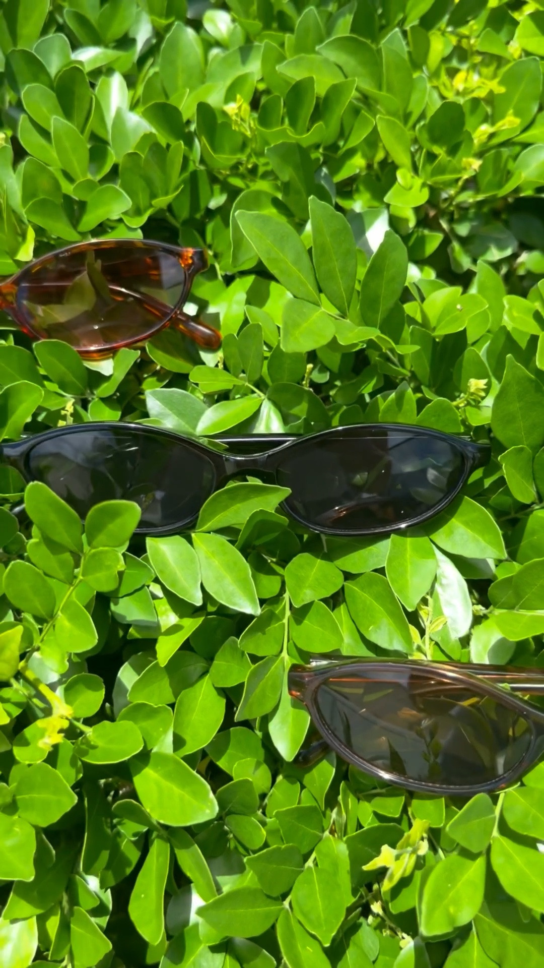 Sunglasses trends come and go and that’s why I love to purchase them on Amazon. 

If you lose them or you just get tired of the trend, your wallet won’t have you feeling guilty 🕶️ ￼￼