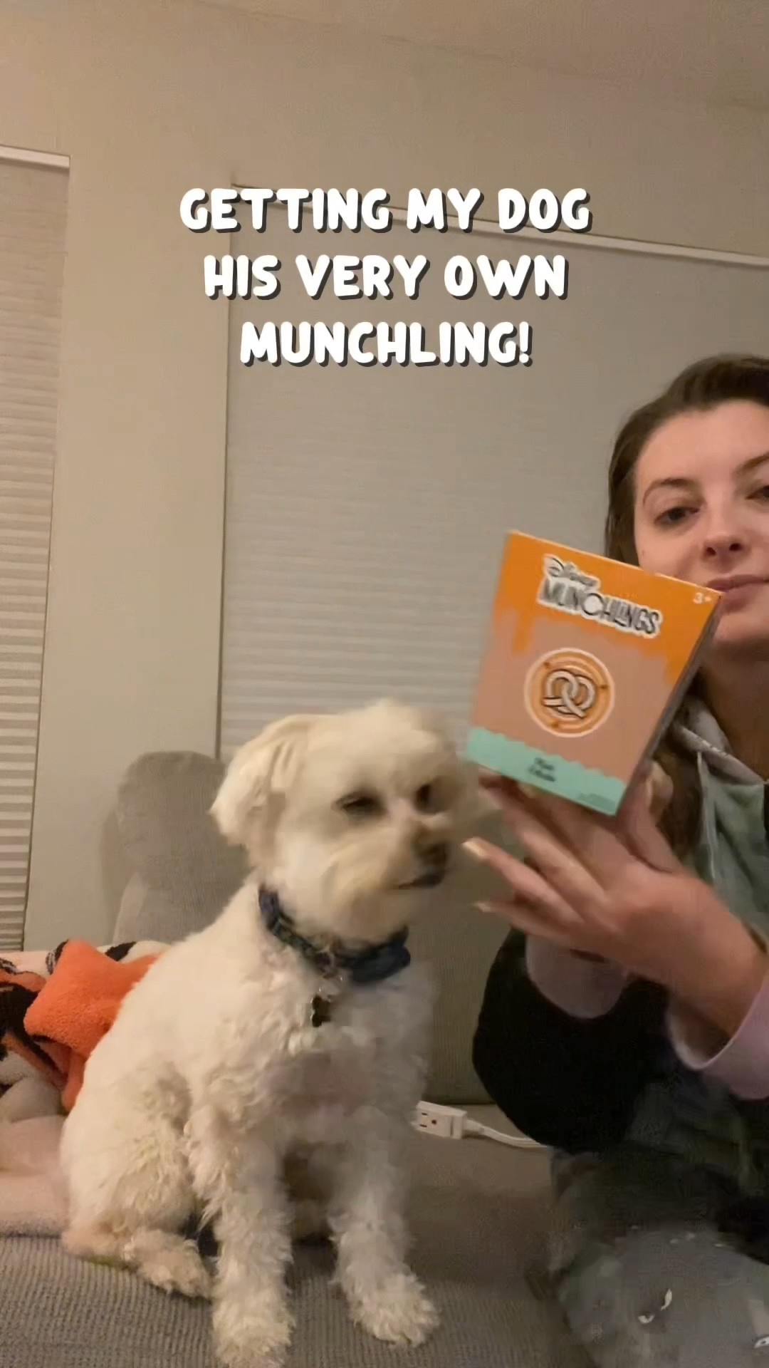 a lil throwback to getting my dog his first Munchling 🥹 he has quite the collection now!

#LTKFindsUnder50 #LTKFindsUnder100 #LTKPets #LTKTravel #LTKKids #LTKFamily 
