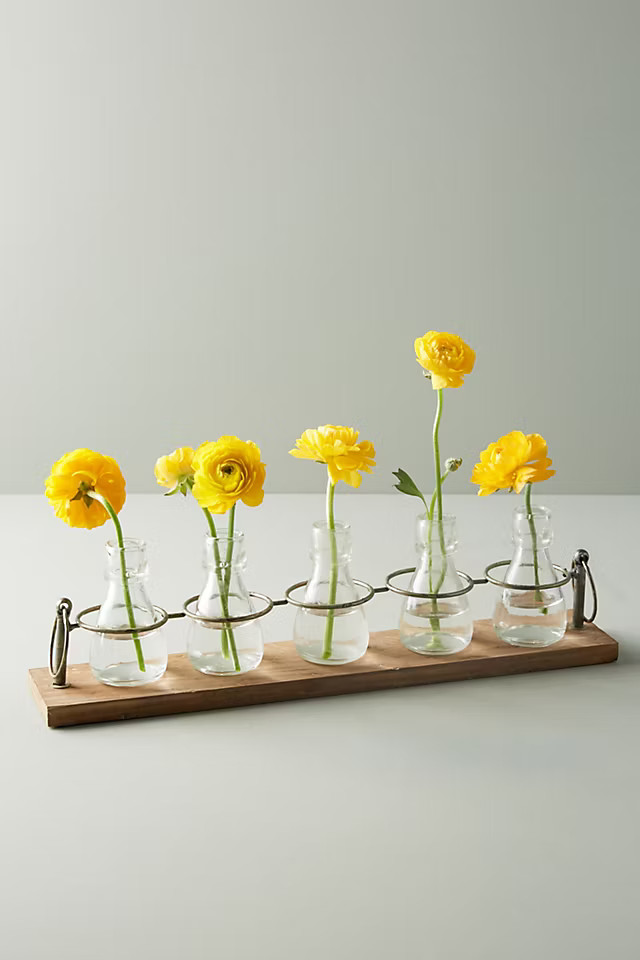 Apothecary Bud Vases, Set of 5 | Anthropologie (US)