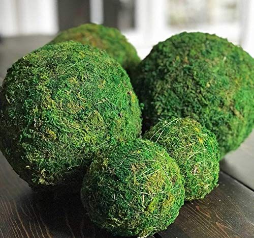 6 Inch Decorative Moss Ball Orb Sphere for Home Decor, Vase Bowl Filler, Planters, Trays, Lantern... | Amazon (US)