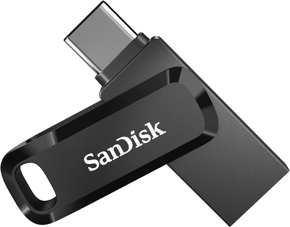 SanDisk 256GB Ultra Dual Drive Go USB Type-C Flash Drive, Black - SDDDC3-256G-GAM46​ | Amazon (US)