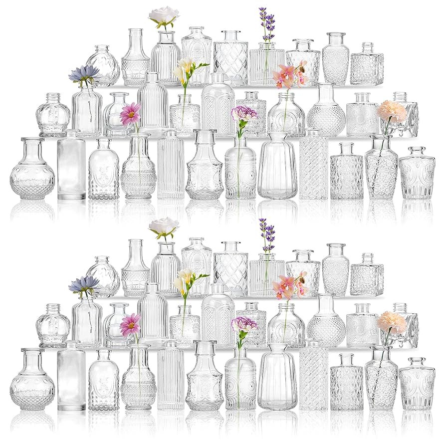 CEWOR Glass Bud Vases in Bulk, Set of 64 Small Vases for Centerpieces, Flower Vases for Flowers i... | Amazon (US)