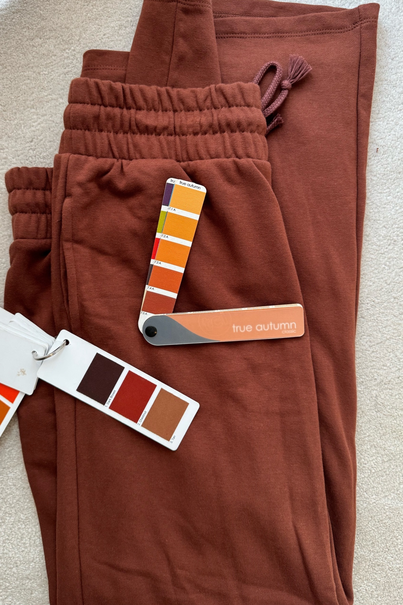 Target chestnut rust wide leg sweatpants for autumns, true autumn, hocautumn, color analysis, atheliesure, lululemon, mom style, high waist sweatpants, longe pants, tie waist sweat pants, lululemon look for less

#LTKfindsunder50 #LTKmidsize #LTKplussize