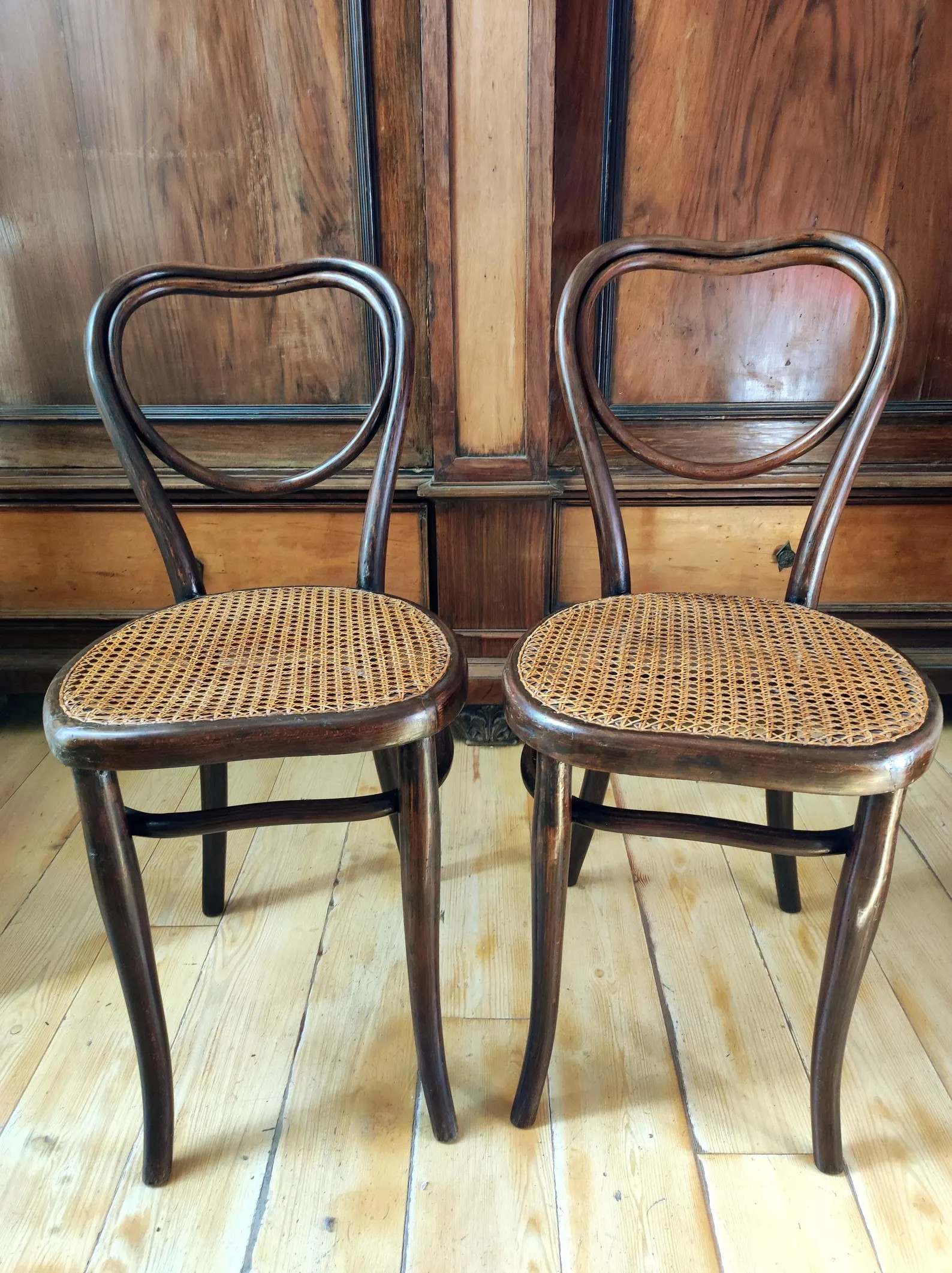 Pair of original Thonet chairs in bent beech and Vienna straw | Etsy (Global)