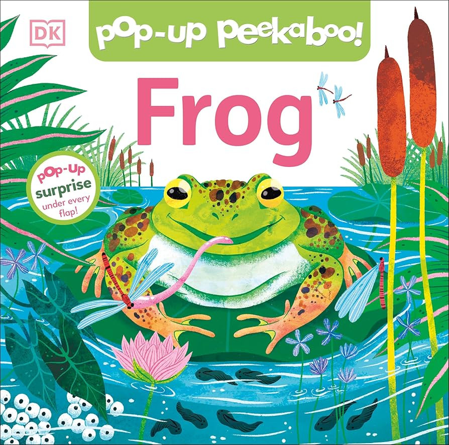 Pop-Up Peekaboo! Frog: Pop-Up Surprise Under Every Flap! | Amazon (US)