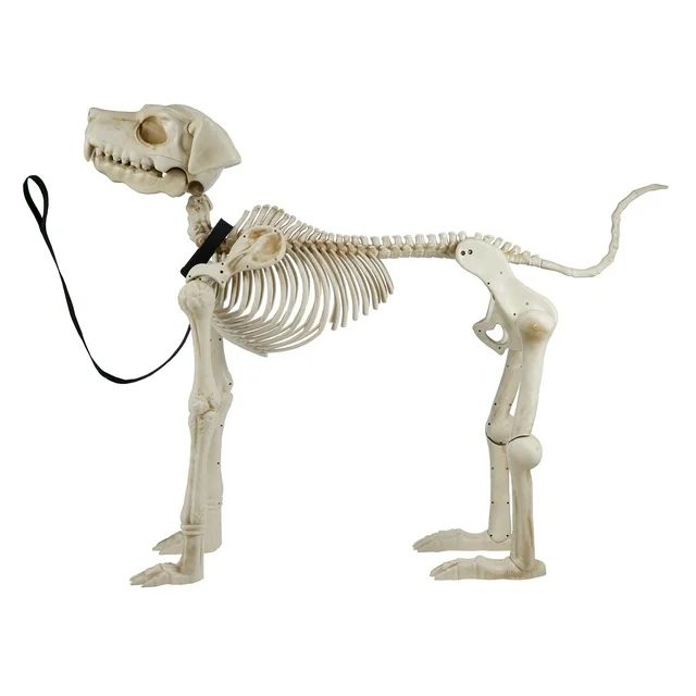 60 Inch White Skeleton Dog, Halloween Decoration, by Way to Celebrate | Walmart (US)