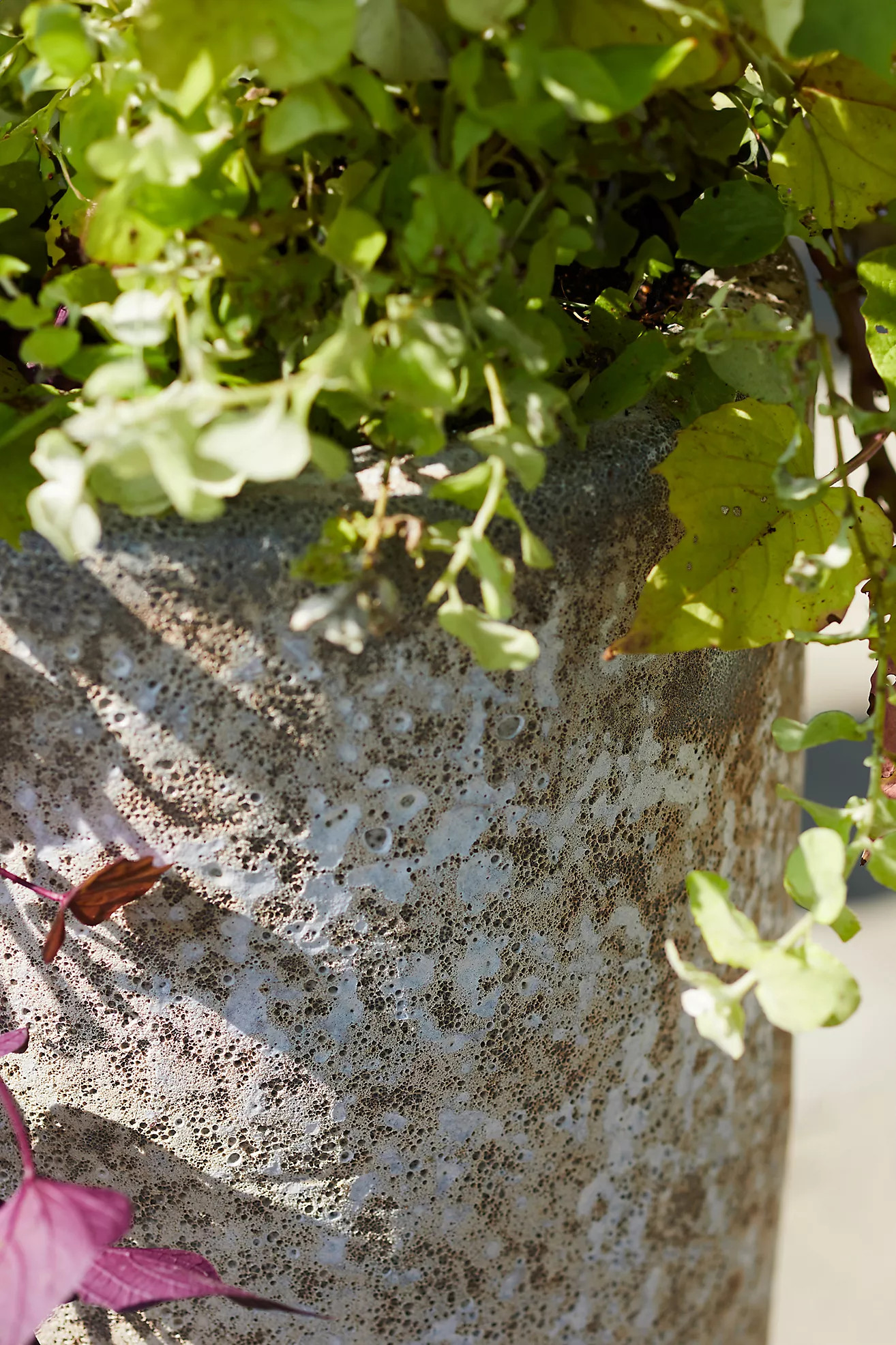 Barnacle Tall Modern Planter | Anthropologie (US)