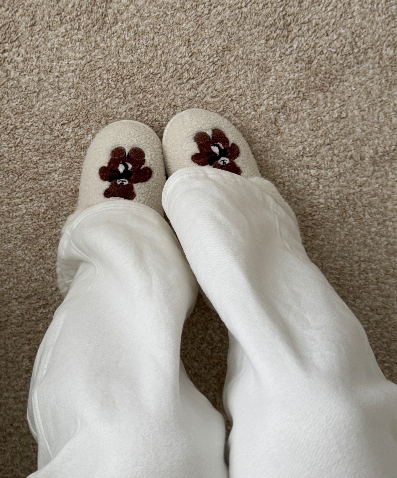 one of my favoriteeee gifts this year was my slippers & I love them 🫶🏻🧸☁️

So cozy & good quality for only being $19??

#slippers #winteroutfit #cozyoutfit #winterootd 

#LTKgrwm #LTKmorningroutine #LTKootd