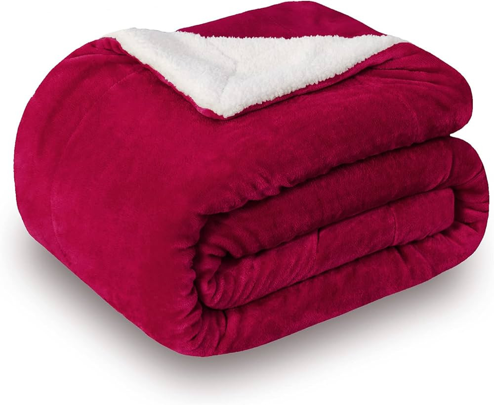 SOCHOW Sherpa Fleece Throw Blanket, Double-Sided Super Soft Luxurious Plush Blanket Queen Size, R... | Amazon (US)