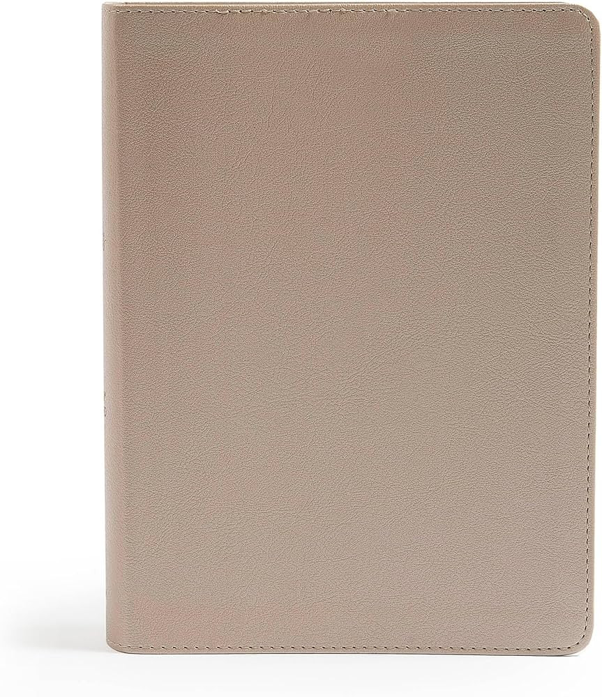 CSB She Reads Truth Bible, Champagne Gold LeatherTouch, Indexed, Black Letter, Full-Color Design,... | Amazon (US)