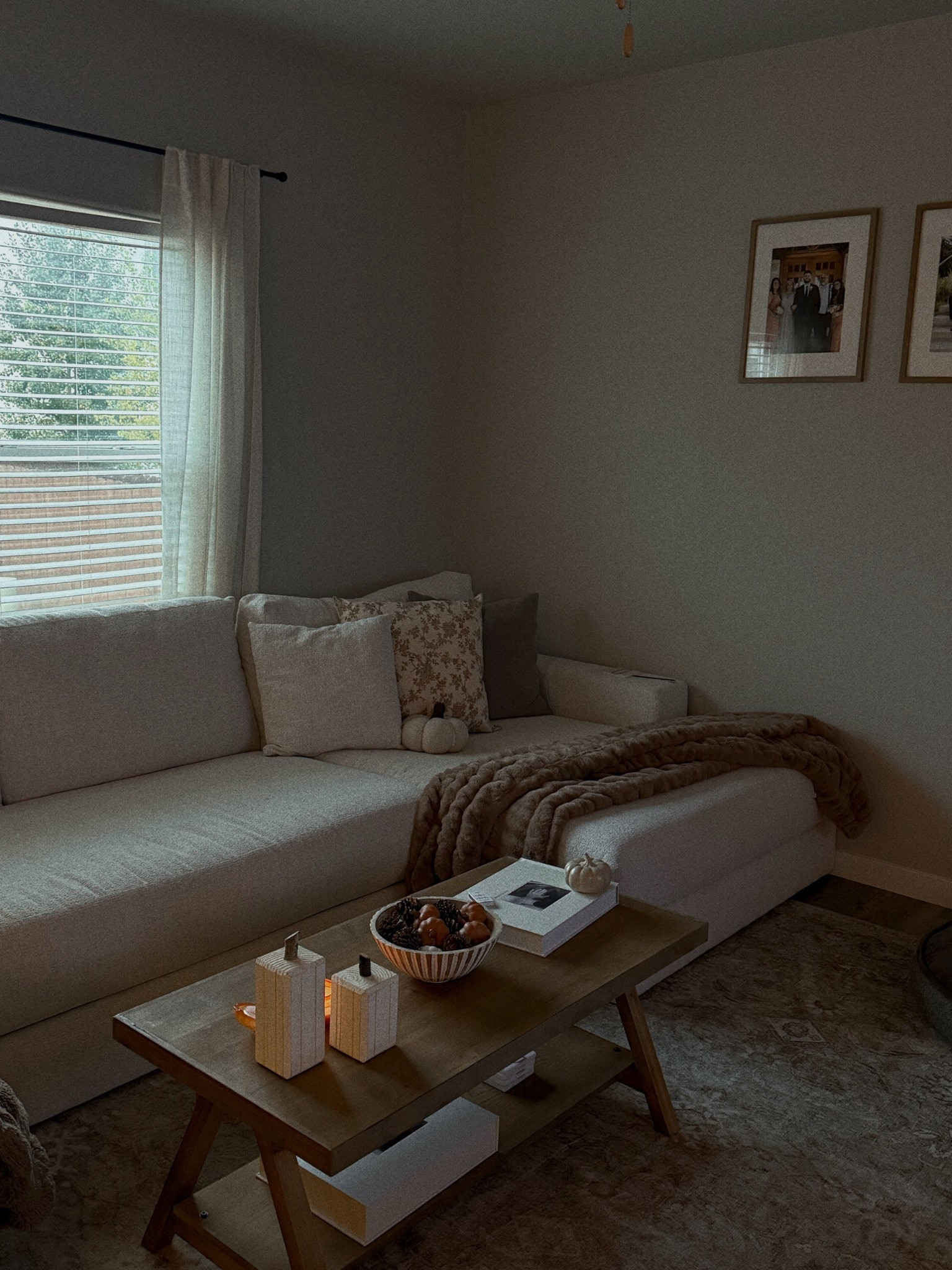 Couch is from living spaces and the decorative bowl is home goods! 🍂 

#LTKHome #LTKStyleTip #LTKSeasonal