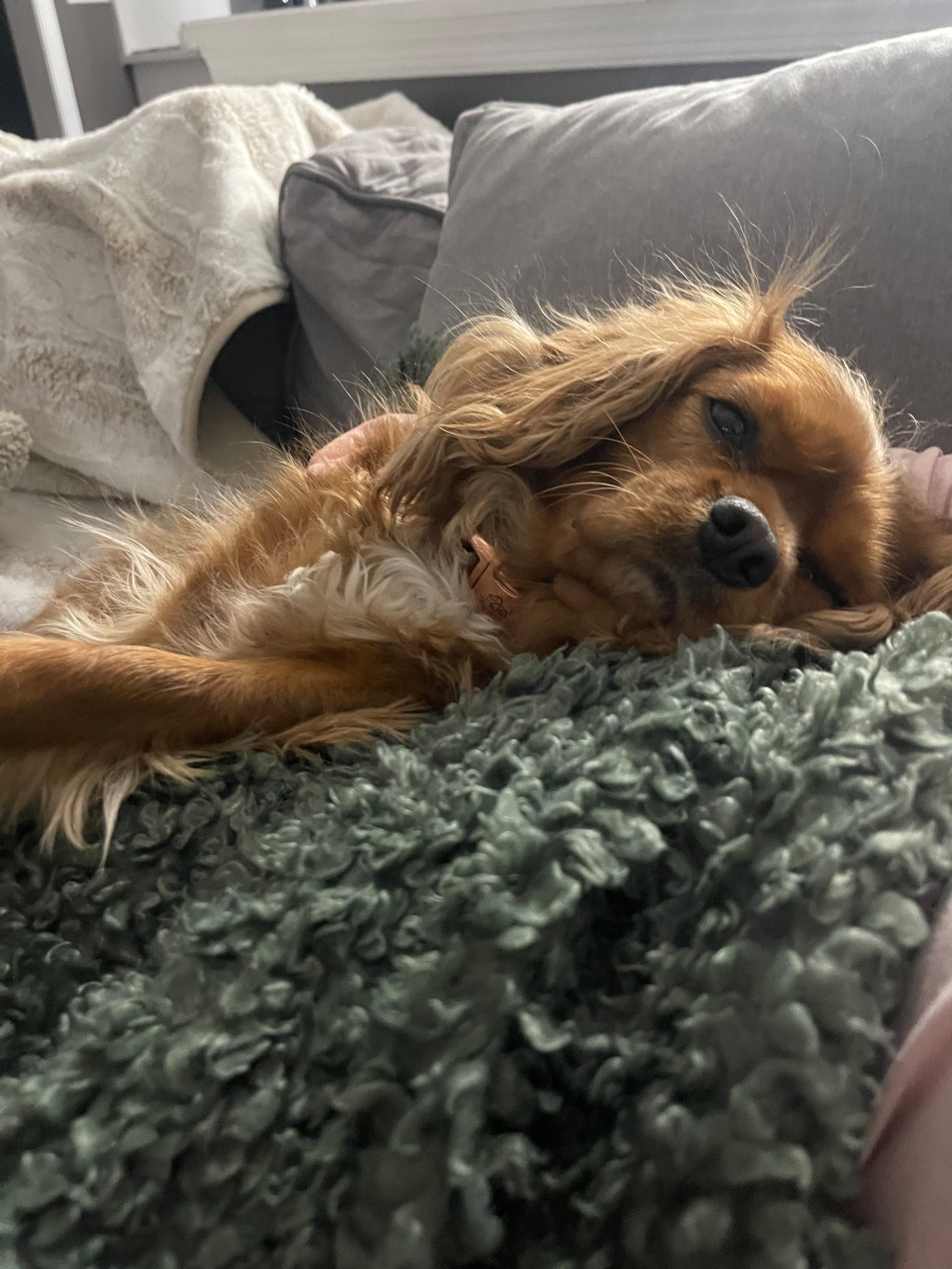 Cozy winter cuddles with my boy & our fave blanket

#LTKHome #LTKdayinmylife #LTKmorningroutine