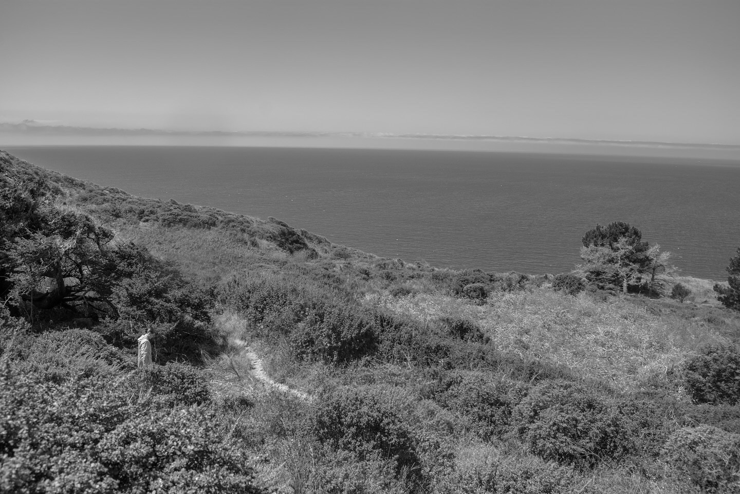 driving highway one in california from san francisco to bolinas ✨ #highwayone #california #sanfrancisco #bolinas #photography #travelphotos