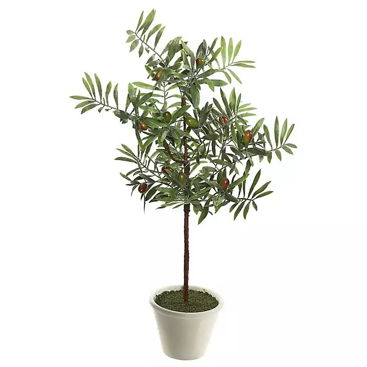 Olive Hill Tree in Round White Pot | Kirkland's Home