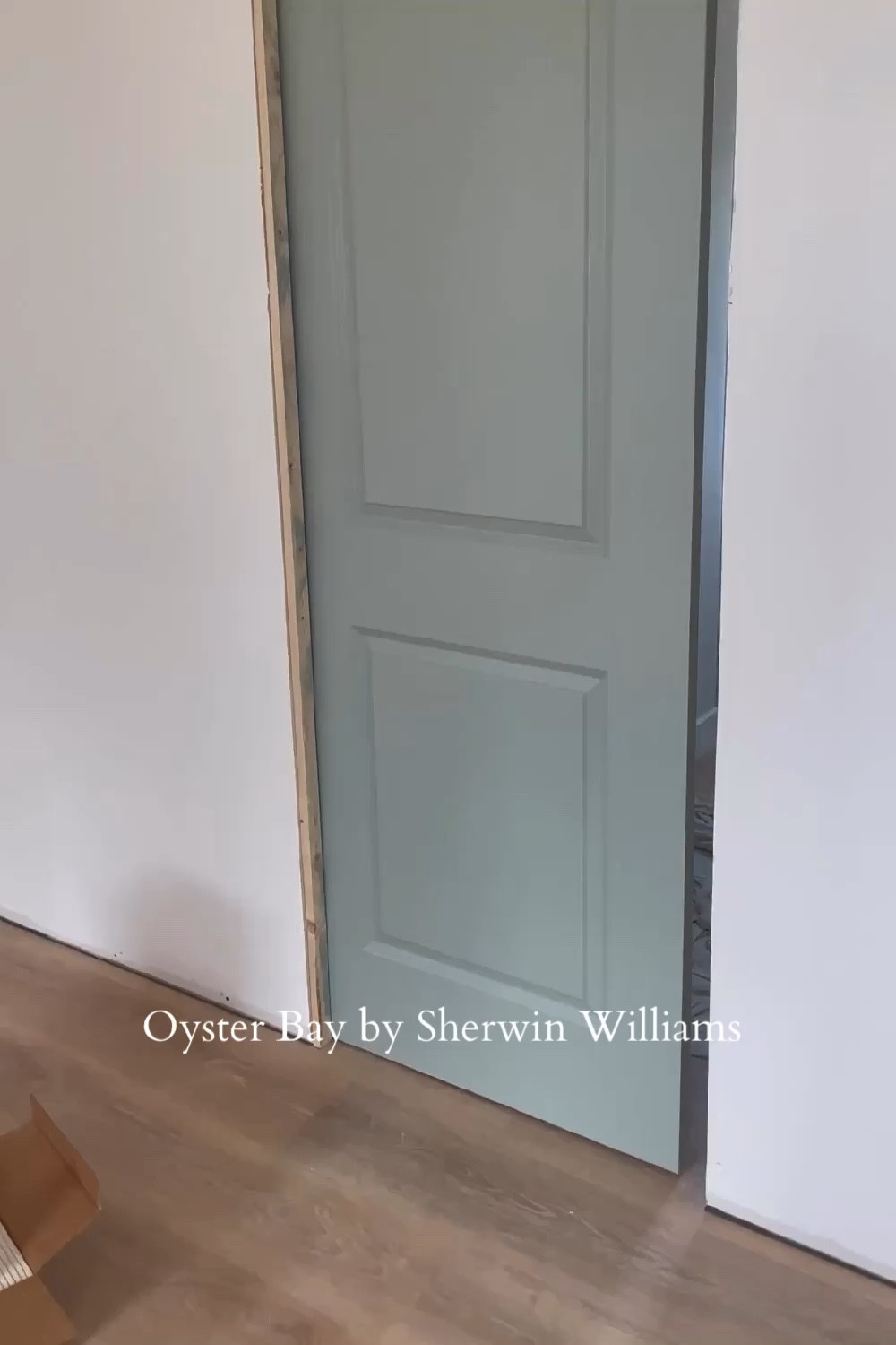 30in pocket door painted Oyster Bay by Sherwin Williams 

#LTKhome #LTKVideo #LTKstyletip