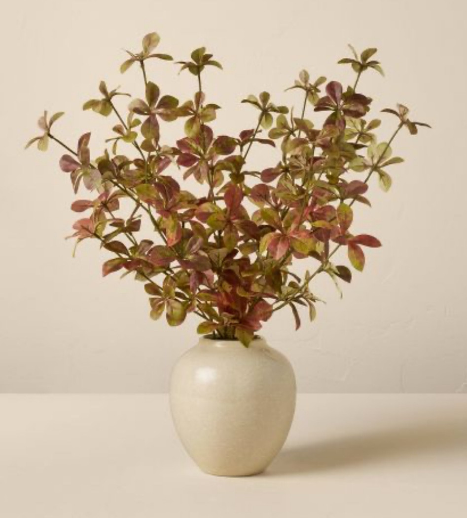 Hearth and Hand Fall!

#LTKSeasonal #LTKFindsUnder50