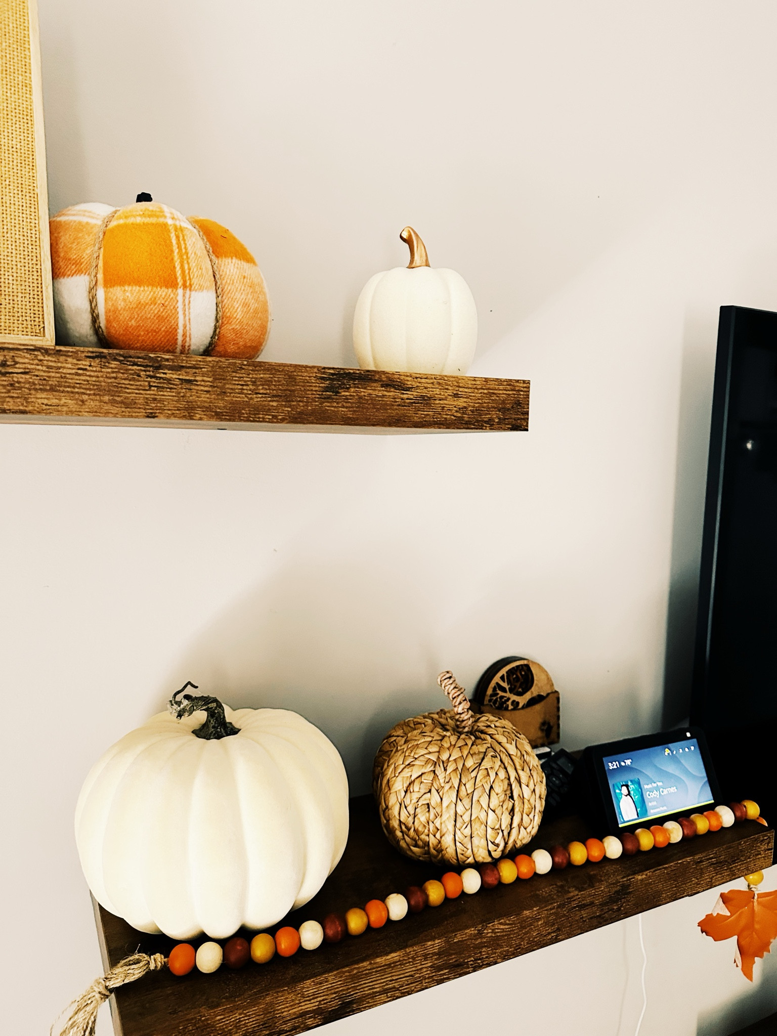 Everything pumpkin spice season #itsfallyall
