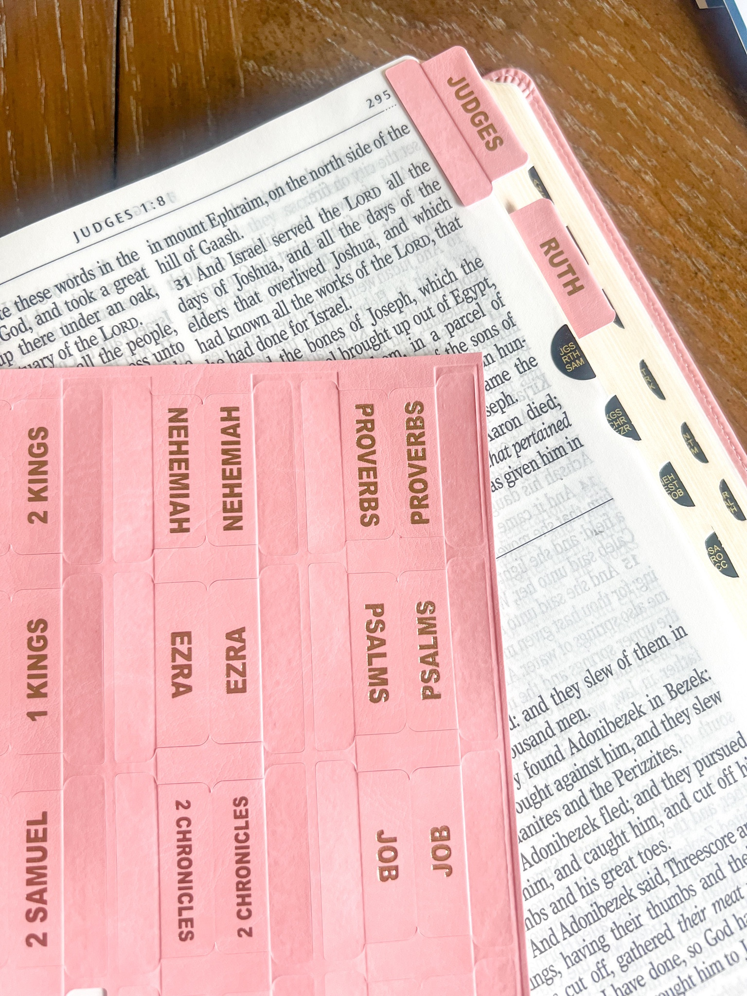 Amazon KJV pink Holy Bible 
Pink and gold Bible tabs
Affordable 
Bible Studyy

#LTKHome #LTKFindsUnder50 #LTKSeasonal