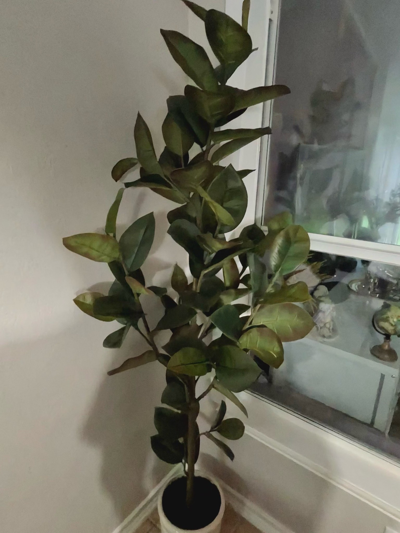 Home Decor - Rubber Potted Tree

#LTKHome #LTKActive