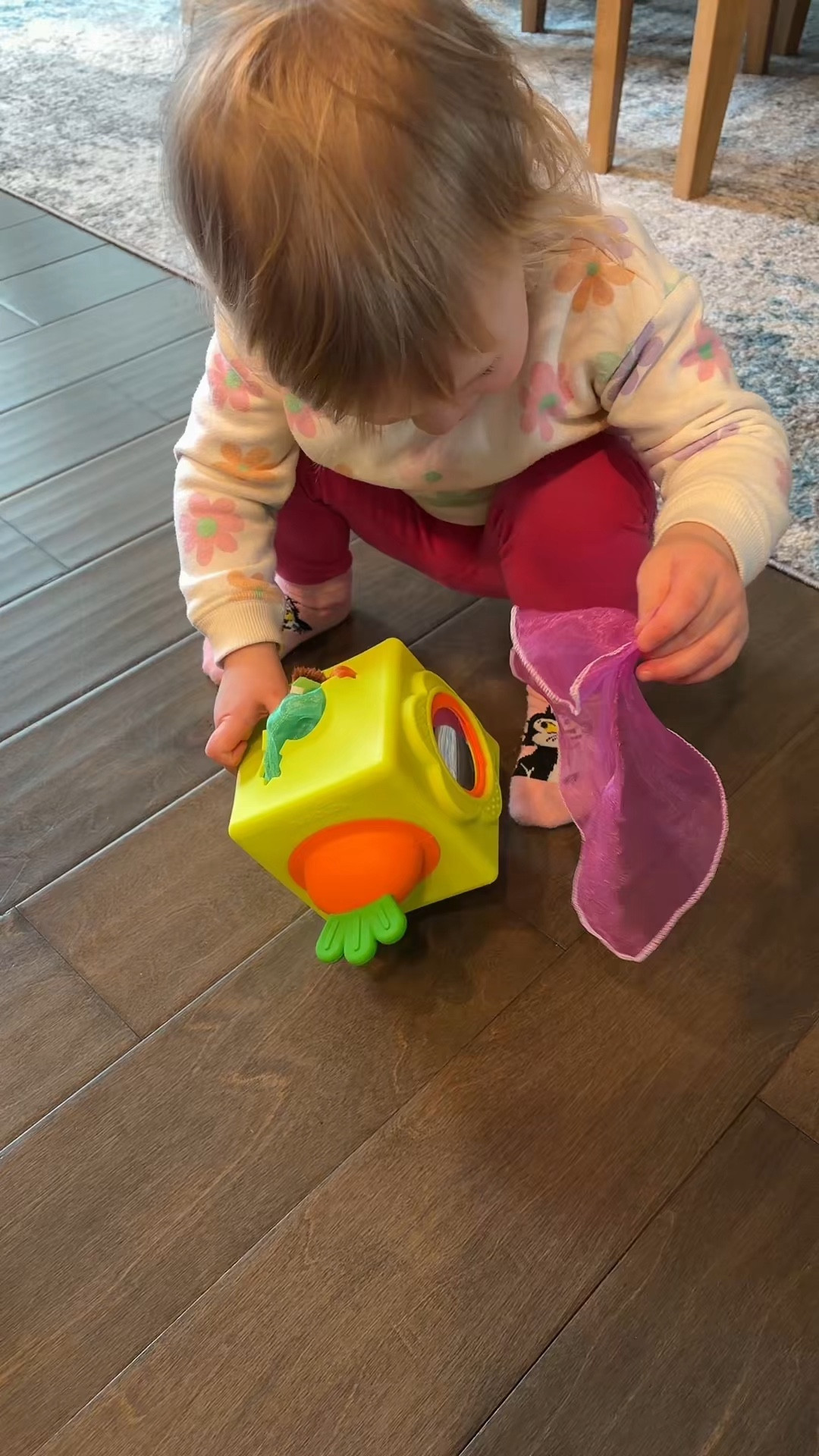 #toy #sensorytoy #baby #toddler #hahaland 

#LTKmomlife #LTKBaby #LTKKids