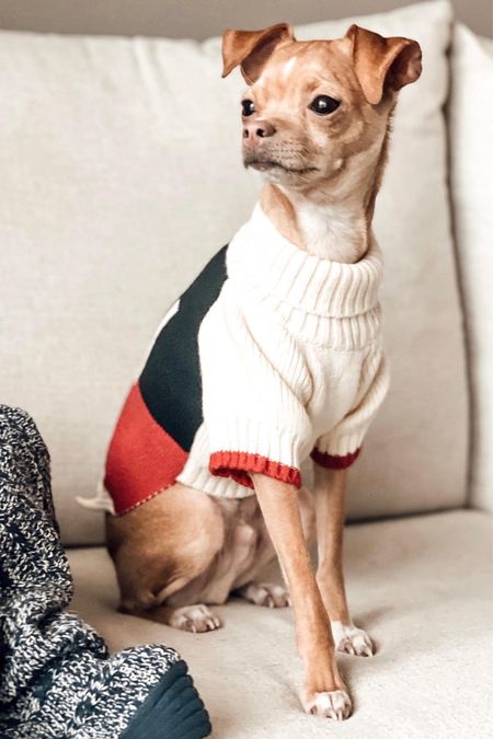 SKI Themed Winter Knit Dog Sweaters. Pet Sweaters. #markandgraham

#LTKstyletip #LTKSeasonal #LTKhome