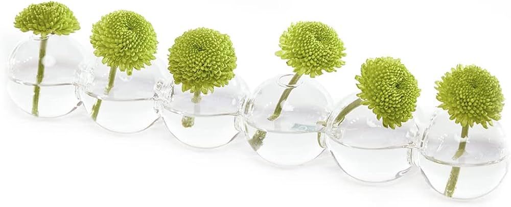 CHIVE ‘Caterpillar’ Bubble Bud Vase for Centerpieces — 6 Hole Multi Chamber Clear Glass Flo... | Amazon (US)