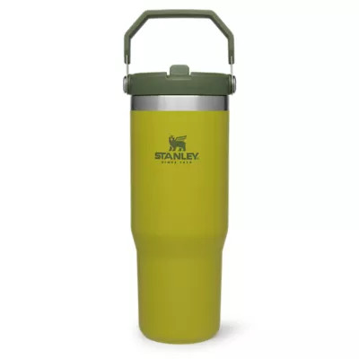 Stanley Iceflow Flip Straw Tumbler 30 Oz | Eddie Bauer, LLC