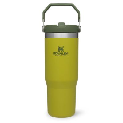 Stanley Iceflow Flip Straw Tumbler 30 Oz | Eddie Bauer, LLC